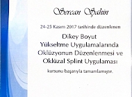 Dikey Boyut Yükseltme Uygulamalarında Oklüzyonun Düzenlenmesi ve Oklüzal Splint Uygulaması