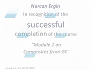 Модуль 1 О композитах из ГК